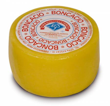 Pecorino Boncacio